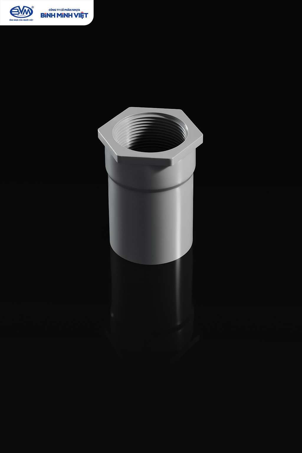 BMV 169 12455 1 - Công Ty Cổ Phần Nhựa Bình Minh Việt - Nối Ren Trong PVC-U Chất Lượng Cao – Giá Tốt – Bền Bỉ - Công ty cổ phần Nhựa Bình Minh Việt